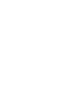 Elmir Records